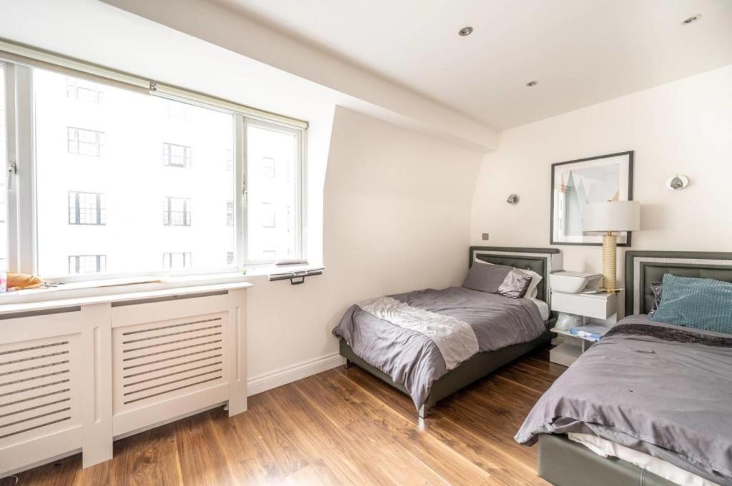 شقة Stanhope Terrace لندن المظهر الخارجي الصورة
